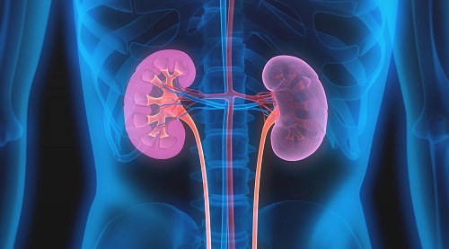 โรคไตเรื้อรัง (Chronic kidney disease) : อาการ สาเหตุ การรักษา