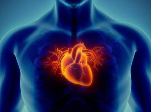 โรคหลอดเลือดหัวใจตีบ (Coronary Artery Disease) : อาการ สาเหตุ การรักษา