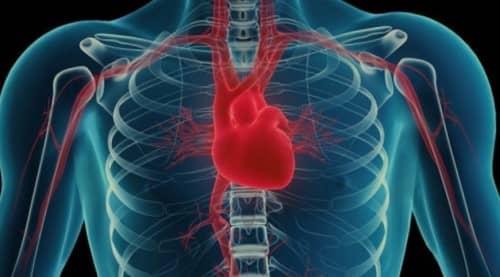หัวใจโต (Cardiomegaly) : อาการ สาเหตุ การรักษา