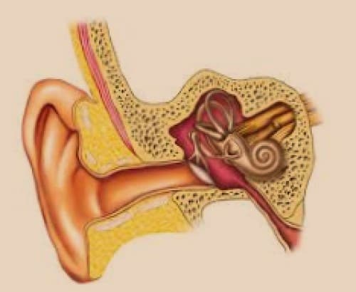 หูชั้นกลางอักเสบ (Otitis Media) : อาการ สาเหตุ การป้องกัน