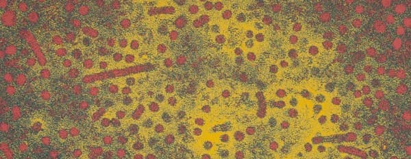 ไวรัสตับอักเสบ บี (Hepatitis B) : อาการ สาเหตุ การรักษา