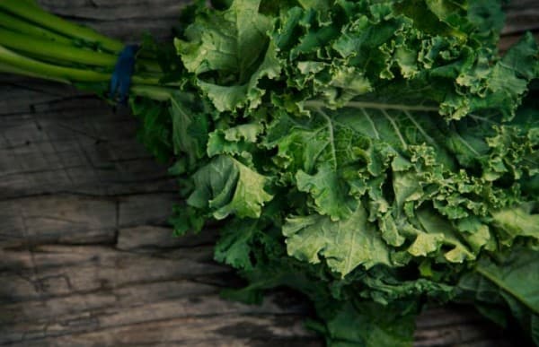 คะน้า (Benefits of Kale)