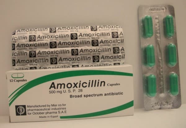 อะม็อกซี่ซิลลิน (Amoxicillin) ชนิดรับประทาน