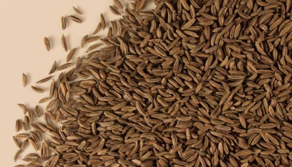 Caraway