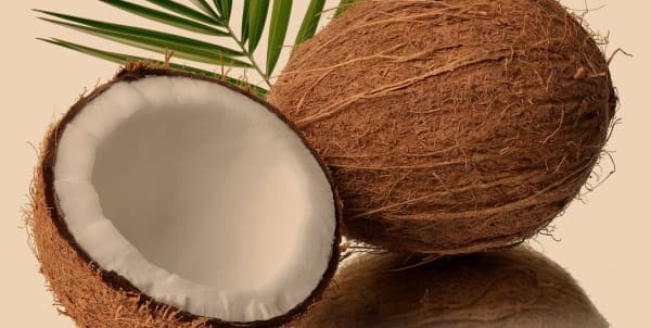 ประโยชน์ของมะพร้าว (Benefits of Coconut)