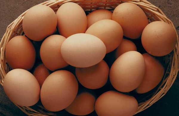 ประโยชน์ของไข่เพื่อสุขภาพ (Health Benefits of Eggs)