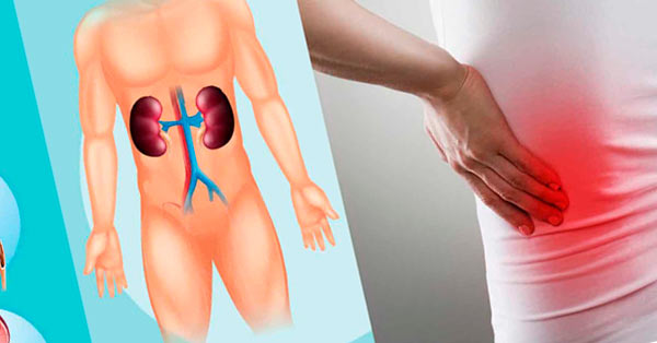 Kidney Disease Symptoms and Risk