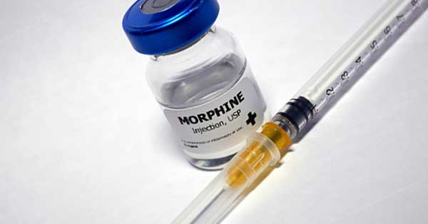 ผลกระทบจากมอร์ฟีน (Effects of Morphine Use)