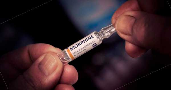 Effects of Morphine Use