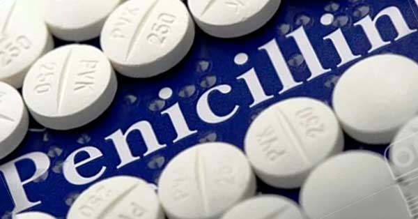 ยาเพนิซิลลิน (Penicillin) 