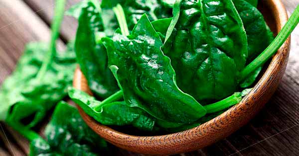 ประโยชน์ของผักโขม (Health Benefits of Spinach)