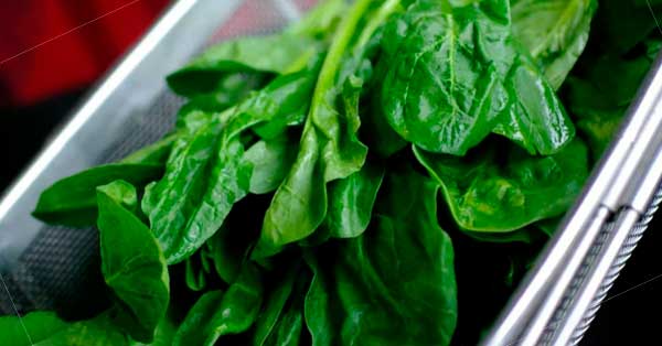 Health Benefits of Spinach