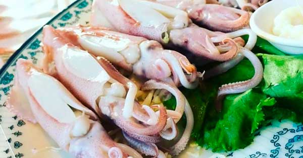 Squid’s Health Benefits