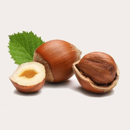 เฮเซลนัทประโยชน์ต่อสุขภาพ (Hazelnut’s Health Benefits)