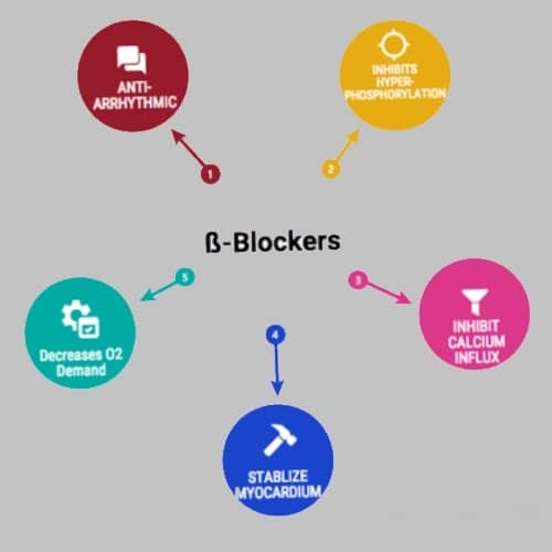 เบต้า บล็อกเกอร์ (Beta Blocker)