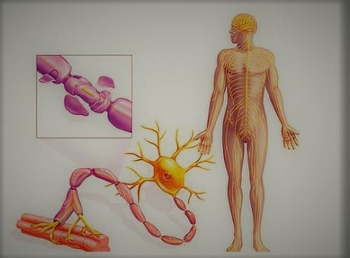 Guillain Barre Syndrome