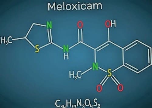 ยามีลอกซิแคม (Meloxicam) 