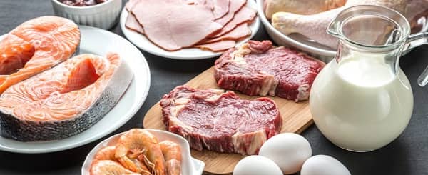 saturated fat