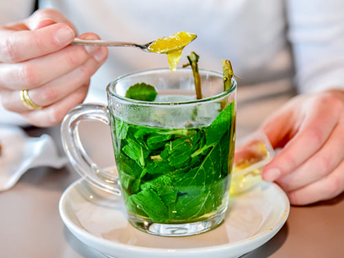 ยาสมุนไพรแก้ไอ (Herbs for Cough)