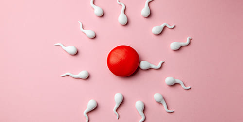 อาการท้องลมหรือไข่ฝ่อ (Blighted Ovum)